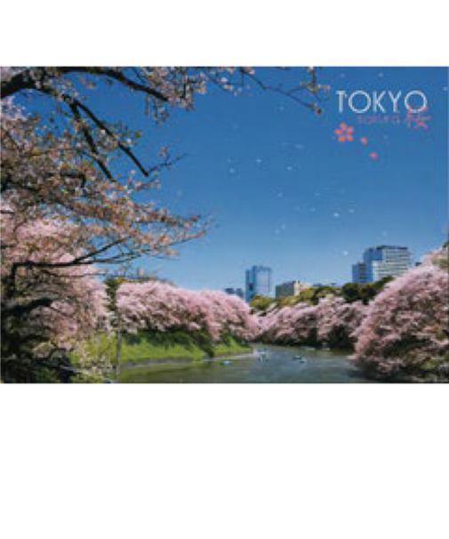 エヌ・ビー・シー　桜満開の千鳥が淵　東京－084