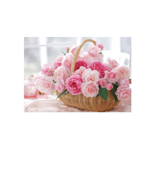 アクティブコーポレーション　フラワーポストカード　PE－218