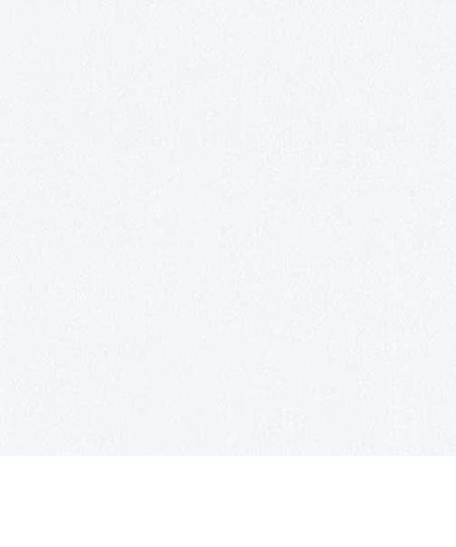 インディゴ　カラーティッシュ　PW435　ホワイト