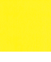 インディゴ　カラーティッシュ　PW443　イエロー