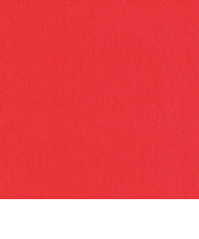 インディゴ　カラーティッシュ　PW445　レッド