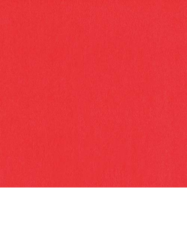 インディゴ　カラーティッシュ　PW445　レッド