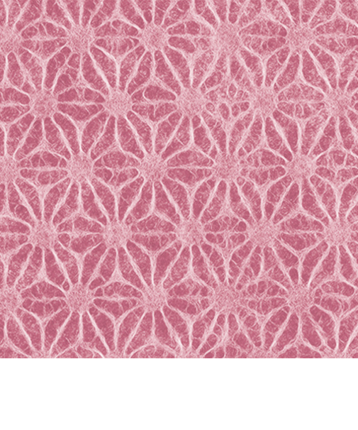 インディゴ　土佐和紙　ミニ　PW889　麻の葉／あずき