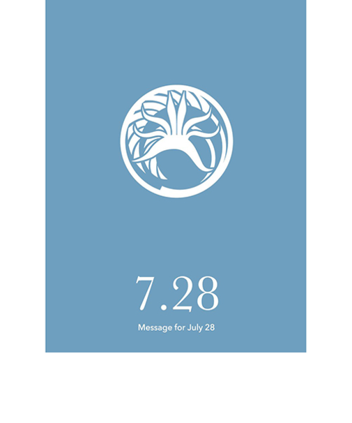 草紙堂　花結びメッセージカード　7月28日