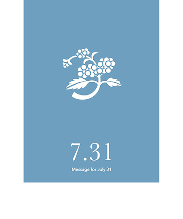 草紙堂　花結びメッセージカード　7月31日