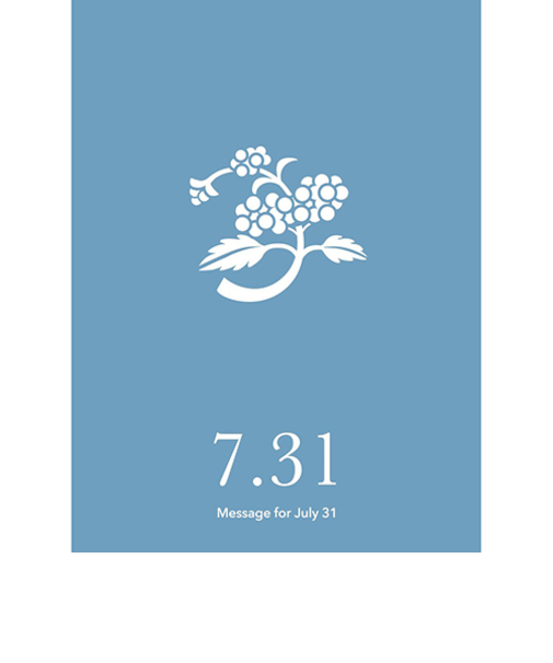 草紙堂　花結びメッセージカード　7月31日