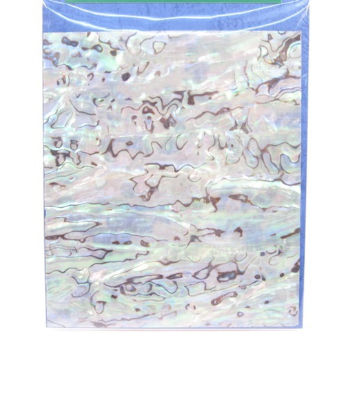 メキシコ貝　大板　青　120×140mm