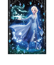 テンヨー アナと雪の女王2 きらめく魔法の秘密 DSG-266-969 ぎゅっと266ピース