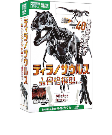 学研（Gakken）　科学と学習PRESENTS　ティラノサウルス１／３５骨格模型キット＆本物の大きさ特大ポスター　Q750763