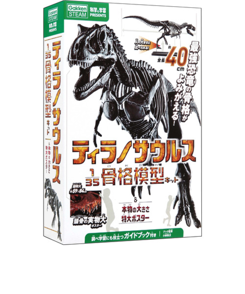 学研（Gakken）　科学と学習PRESENTS　ティラノサウルス１／３５骨格模型キット＆本物の大きさ特大ポスター　Q750763