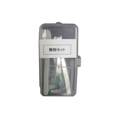 いわしや　解剖セット