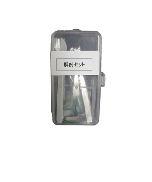 いわしや　解剖セット