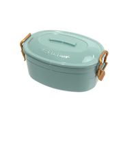 サブヒロモリ　ステイプル　抗菌タイトロックランチ2段　650mL　PCA4076－35　ミント