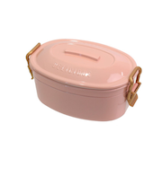 サブヒロモリ　ステイプル　抗菌タイトロックランチ2段　650mL　PCA4076－11　ピンク
