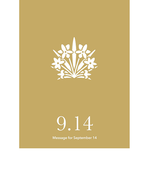 草紙堂　花結びメッセージカード　9月14日