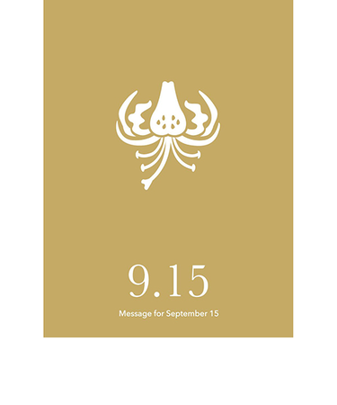 草紙堂　花結びメッセージカード　9月15日