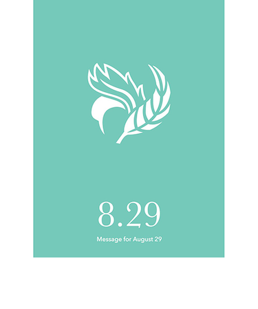 草紙堂　花結びメッセージカード　8月29日