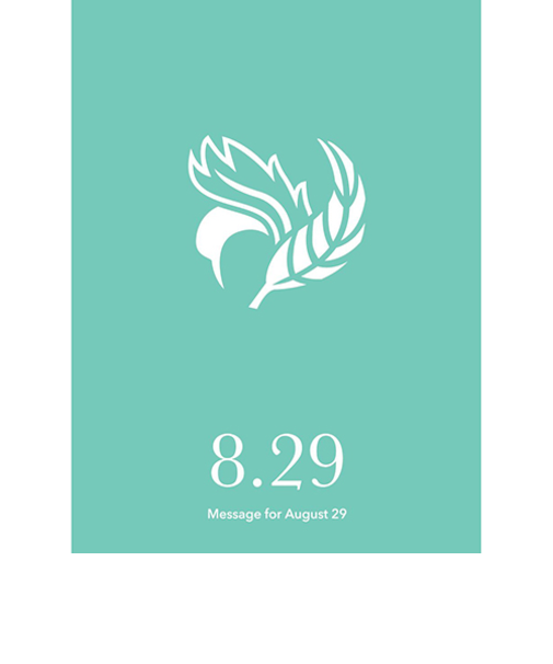 草紙堂　花結びメッセージカード　8月29日