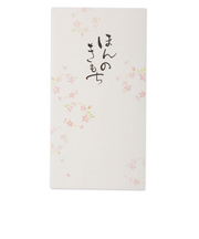 エヌビー社　筆文字のし袋ほんのきもち2　5849105