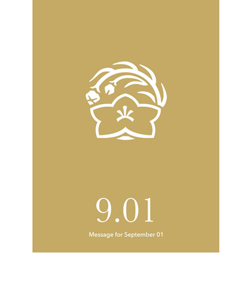 草紙堂　花結びメッセージカード　9月1日