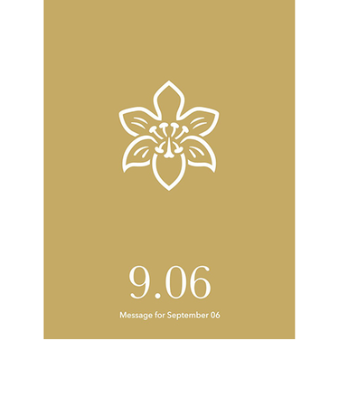 草紙堂　花結びメッセージカード　9月6日