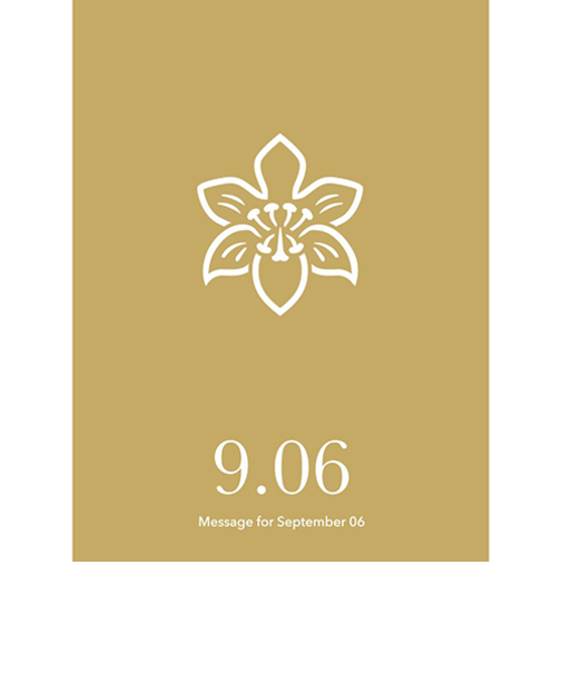 草紙堂　花結びメッセージカード　9月6日