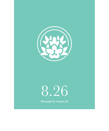 草紙堂　花結びメッセージカード　8月26日