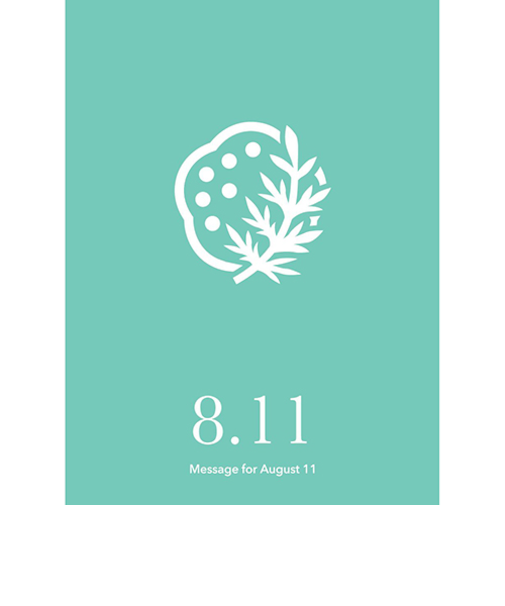 草紙堂　花結びメッセージカード　8月11日