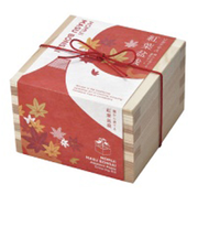 聖新陶芸　ソダテマス　盆栽栽培セット　紅葉　GD－846－03