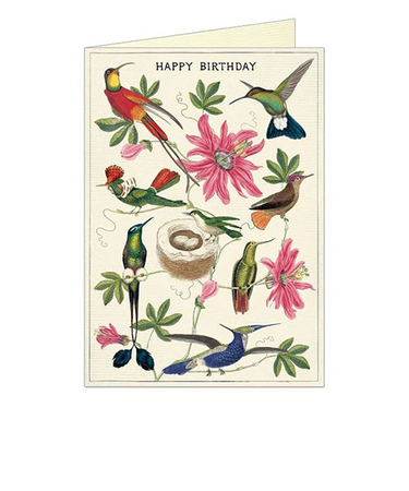 カバリーニ（CAVALLINI）　グリーティングカード　Happy　Birthday　ハミングバード