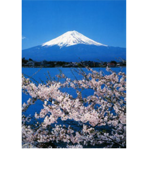 エヌ・ビー・シー　桜満開の河口湖より　富士－004