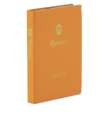 セキセイ　カケルアルバム　XP－246M　イエロー