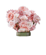 ホールマーク（Hallmark）　ビルド・ア・ブーケ　843830　カーネーション