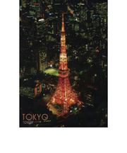 エヌ・ビー・シー　空から見る夜景の東京タワー　東京－092