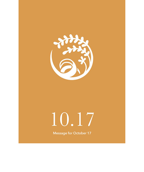 草紙堂　花結びメッセージカード　10月17日