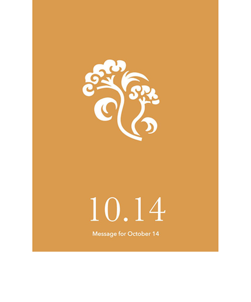 草紙堂　花結びメッセージカード　10月14日