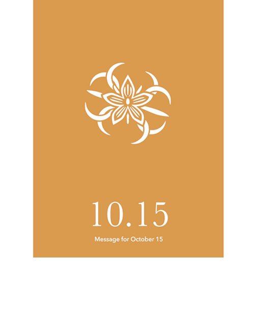 草紙堂　花結びメッセージカード　10月15日