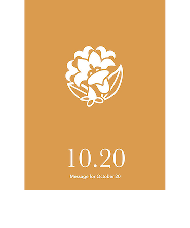 草紙堂　花結びメッセージカード　10月20日