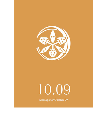 草紙堂　花結びメッセージカード　10月9日