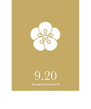 草紙堂　花結びメッセージカード　9月20日