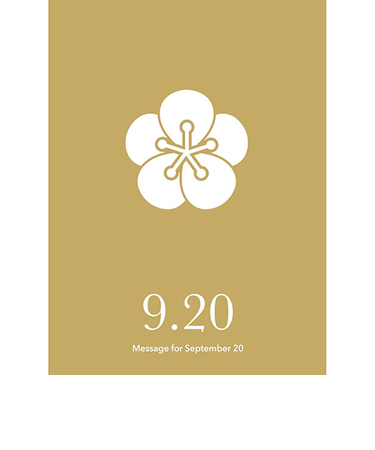 草紙堂　花結びメッセージカード　9月20日