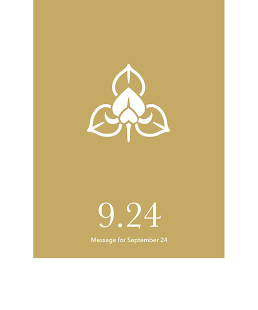 草紙堂　花結びメッセージカード　9月24日