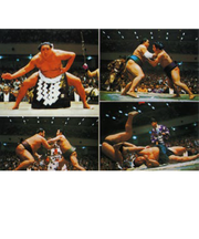 エヌ・ビー・シー　相撲　日本ー009