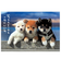 アクティブコーポレーション　柴犬ポストカード　A12－PN－544