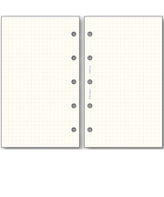 レイメイ藤井　ダ・ヴィンチ（Davinci）　リフィル　方眼ノート　3mm　ミニ5穴サイズ　DMR336