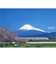 エヌ・ビー・シー　東海道新幹線と富士山　富士－010