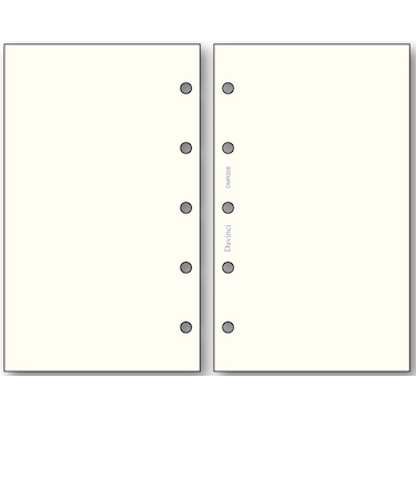 レイメイ藤井　ダ・ヴィンチ（Davinci）　リフィル　無地ノート　ミニ5穴サイズ　DMR328