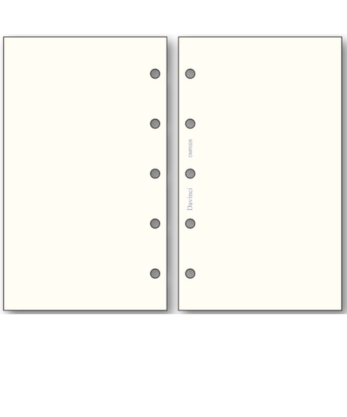 レイメイ藤井　ダ・ヴィンチ（Davinci）　リフィル　無地ノート　ミニ5穴サイズ　DMR328