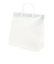 Z＆K　ビニールキャリーバッグ　L　24－212　ホワイト