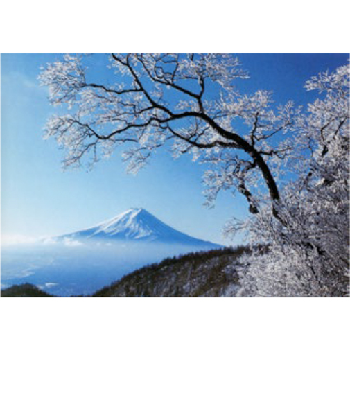 エヌ・ビー・シー　富士と霧氷　富士－014